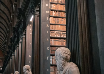 photo-1576015655841-ef5fdc1a7060